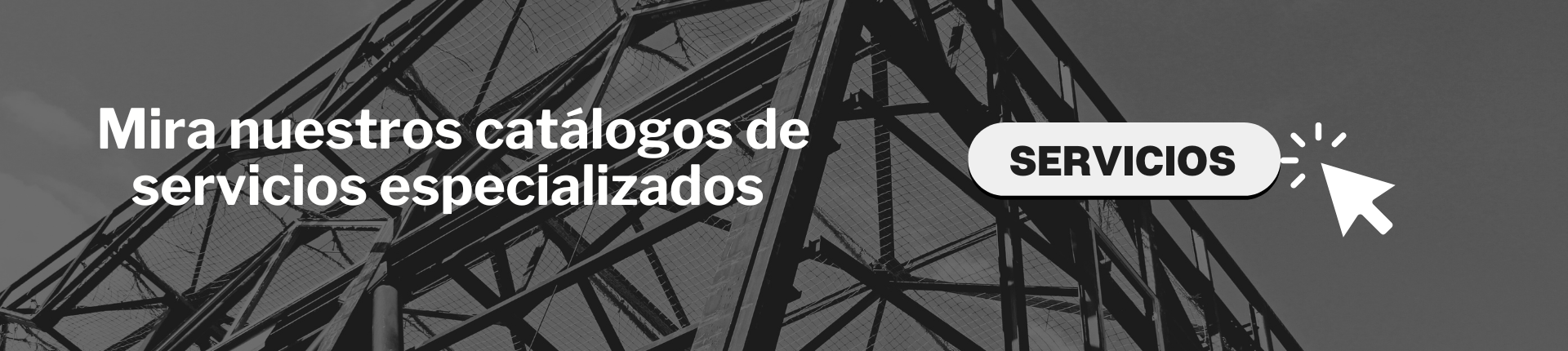 banner servicios