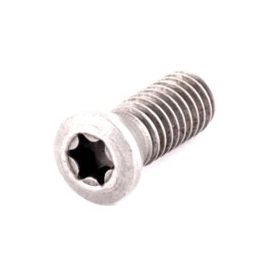 TORNILLO P/PORTAINSERTO DWLN M6X10